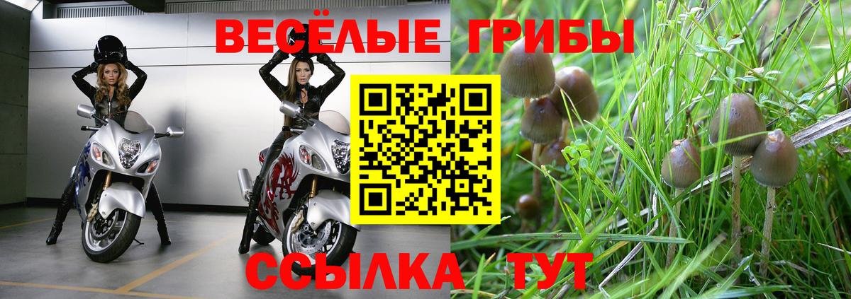 Наро-Фоминск  Псилоцибиновые грибы Magic Shrooms  Вход с VPN  Псилоцибиновые грибы ЛСД 